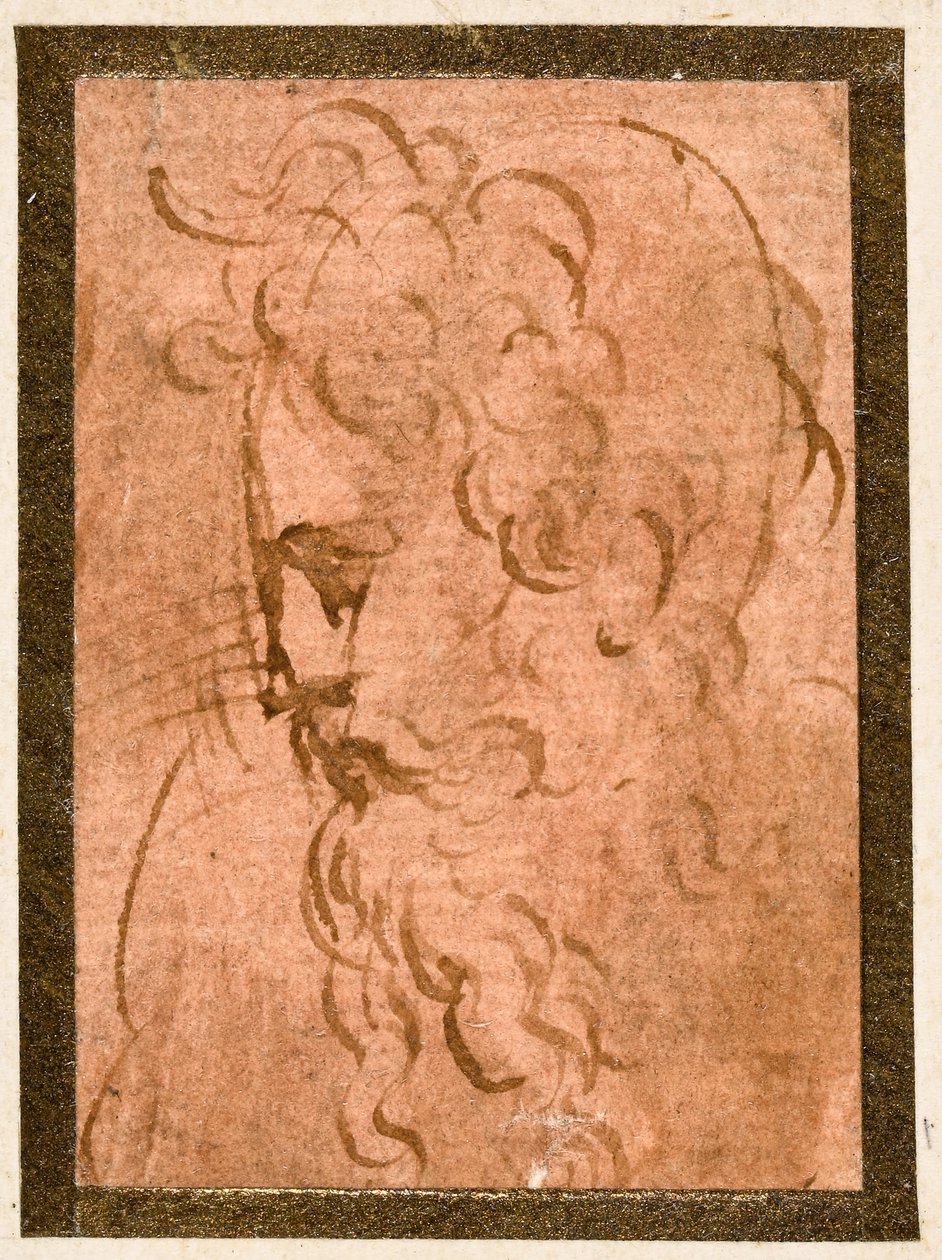 Mannelijk hoofd door Parmigianino