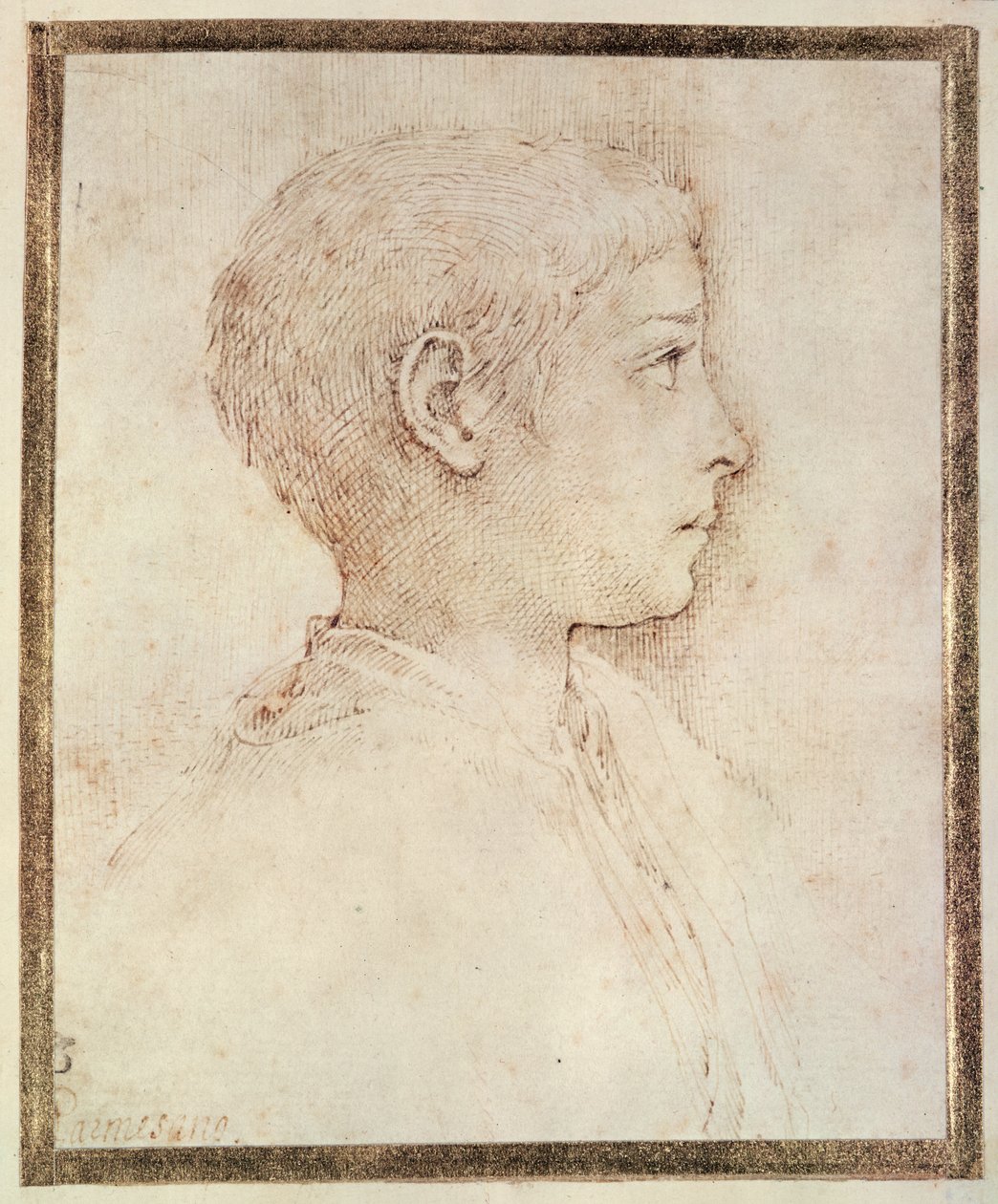 Hoofd van een jongen door Parmigianino