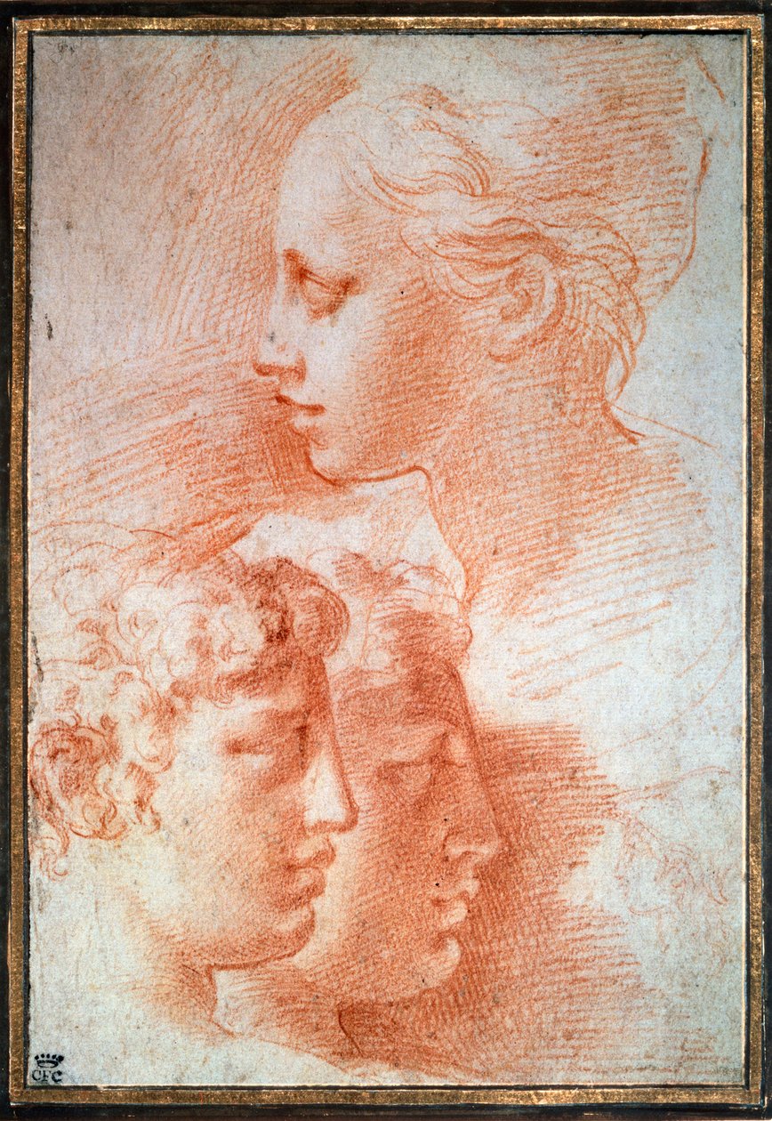 Studie van de hoofden, ca. 1527 door Parmigianino