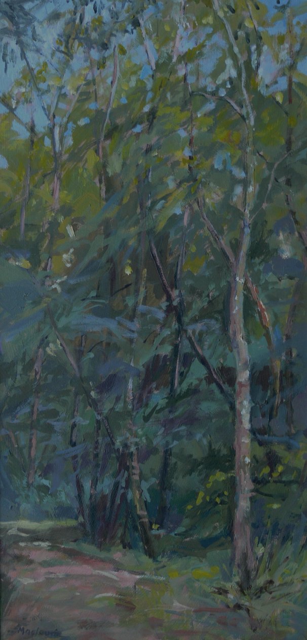 Bospaadje, 2008 door Pat Maclaurin