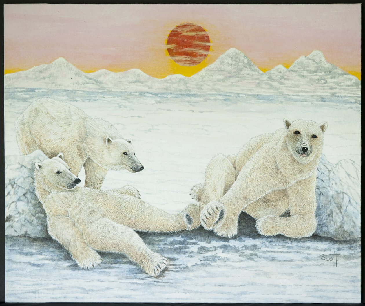 Een lange nacht door Pat Scott