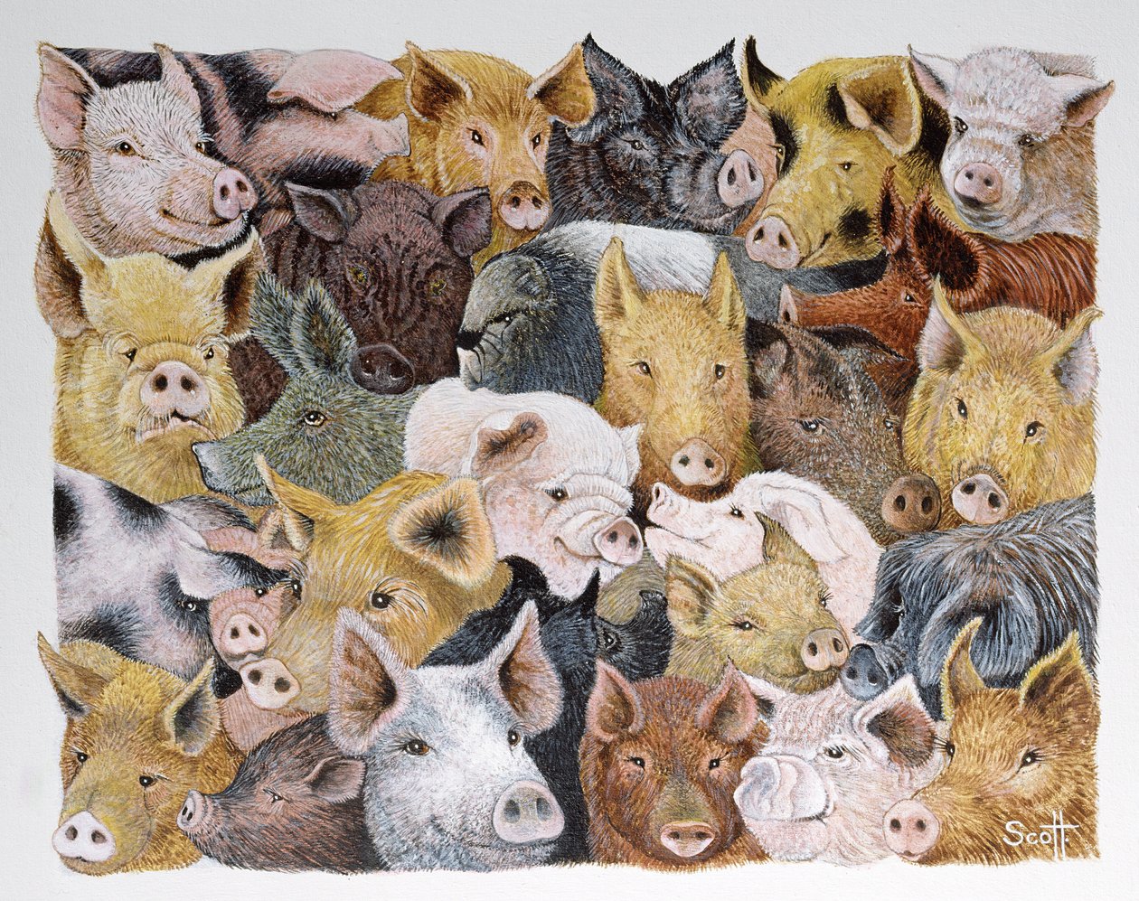 Varkens Galore (acryl op calico) door Pat Scott