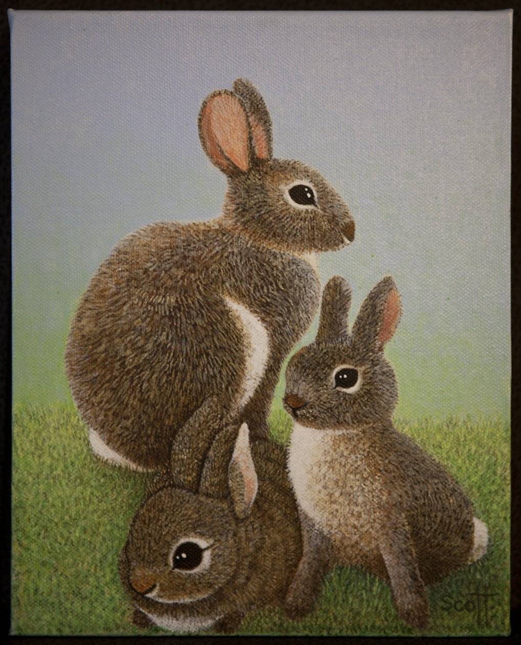 Familie Konijn, 2016 door Pat Scott
