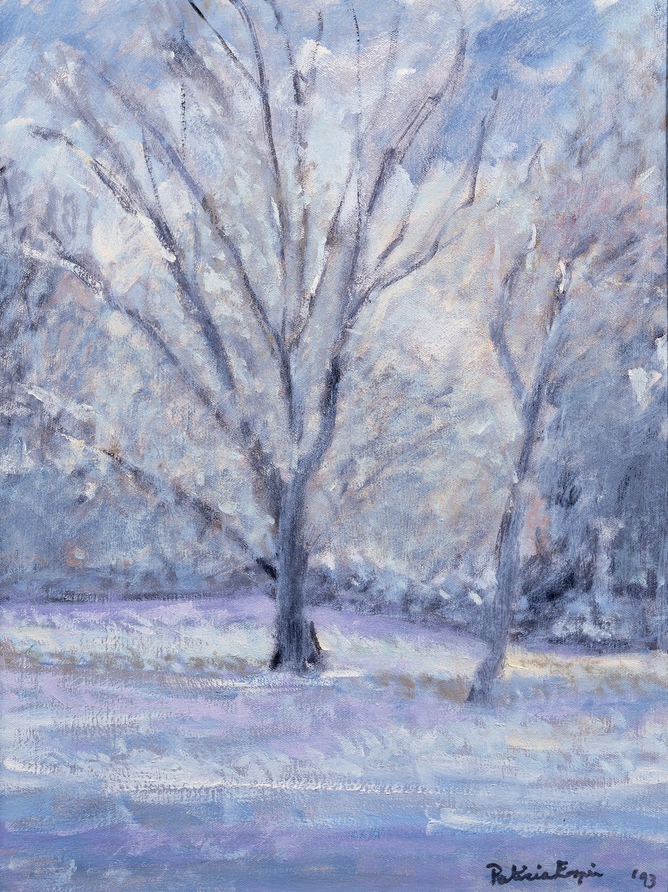 Sneeuwtafereel door Patricia Espir