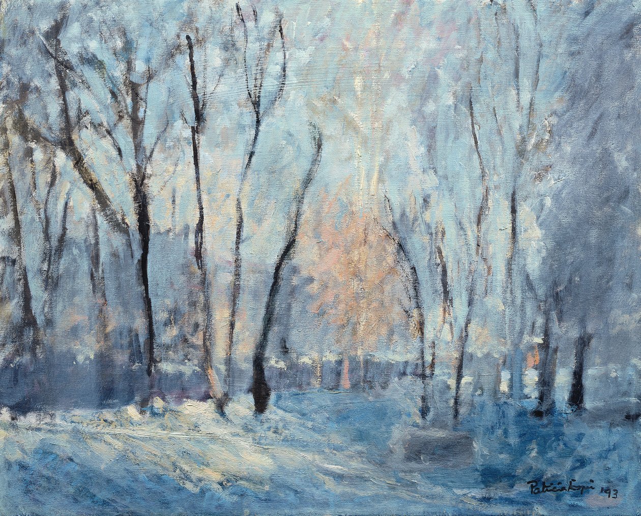 Sneeuw in de tuin door Patricia Espir