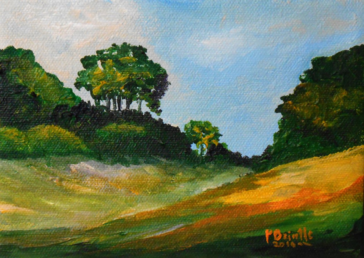 Chardonnette wandeling, 2016 door Patricia Brintle