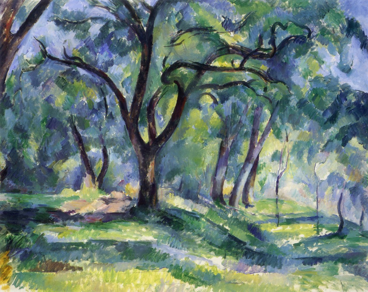 Het Bos door Paul Cézanne