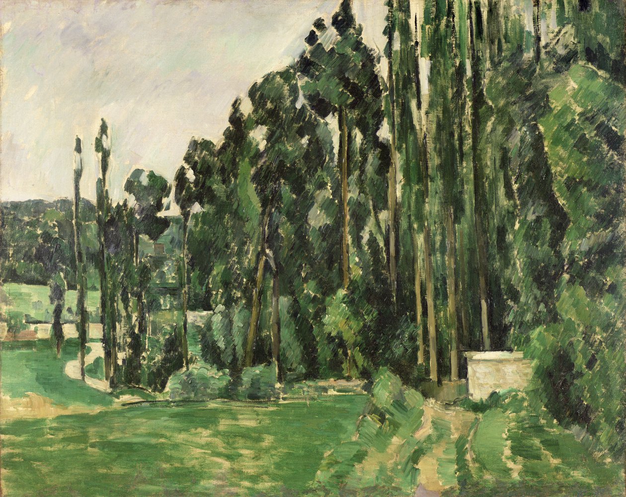 De Populieren, c.1879-82 door Paul Cézanne