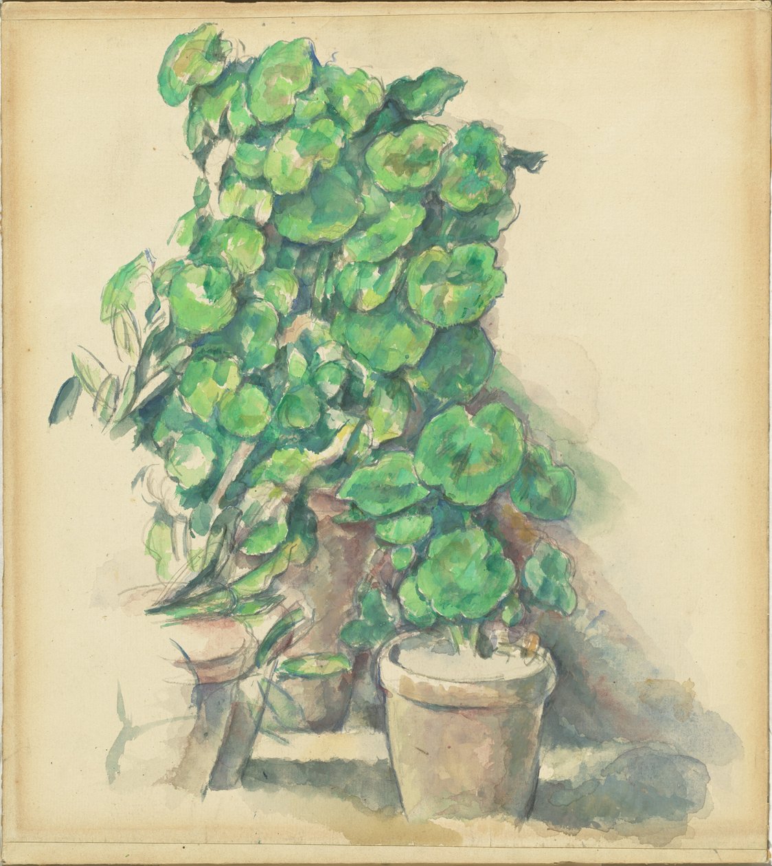 Geraniums door Paul Cézanne