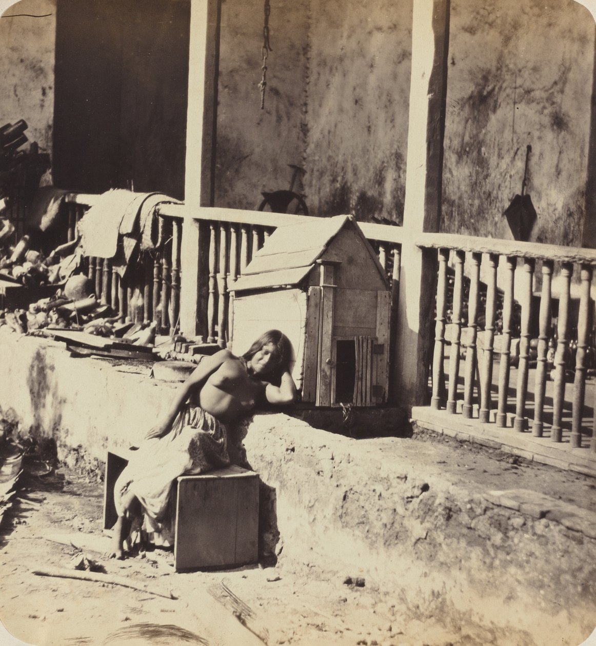 Chien de Garvel Martinique, 1870s door Paul Emile Miot