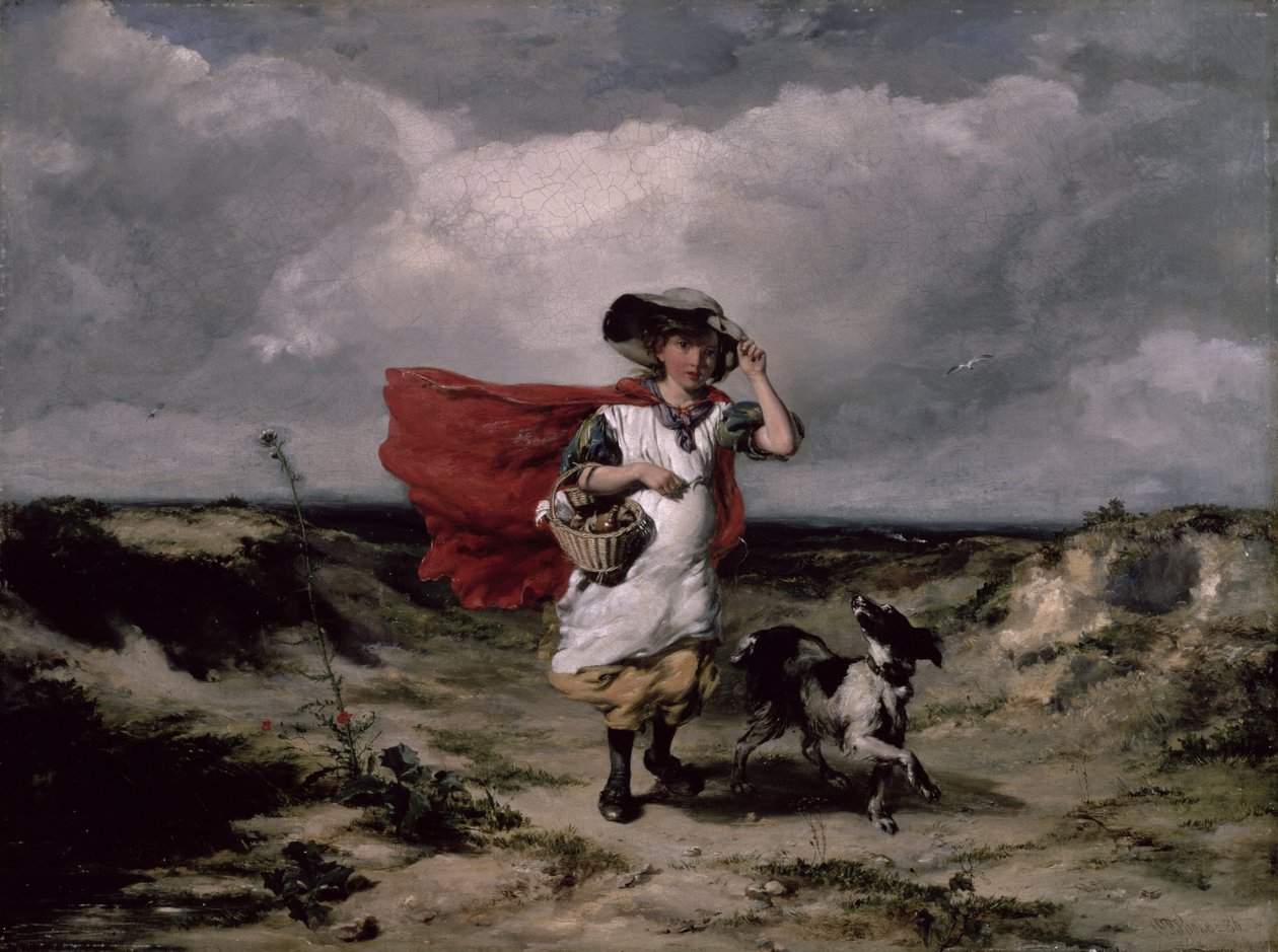 De heide oversteken, winderige dag door Paul Falconer Poole