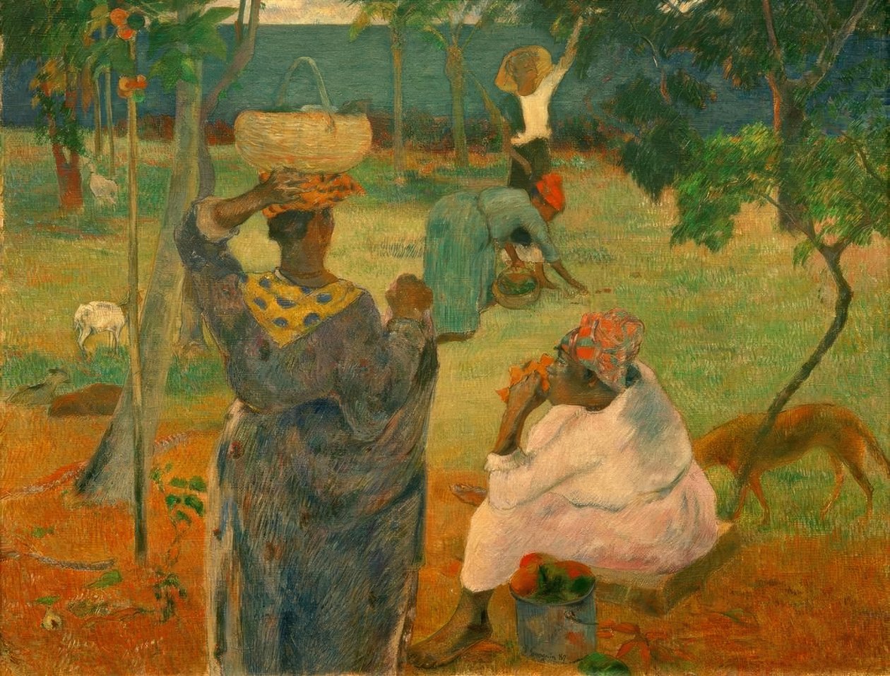 Het plukken van fruit (of De Mango