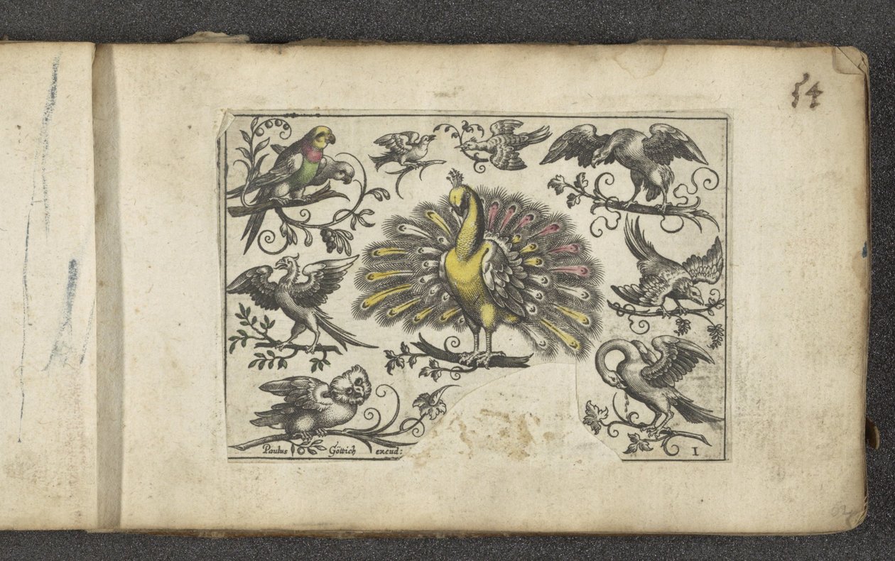 Pauw en andere vogels door Paul Göttich