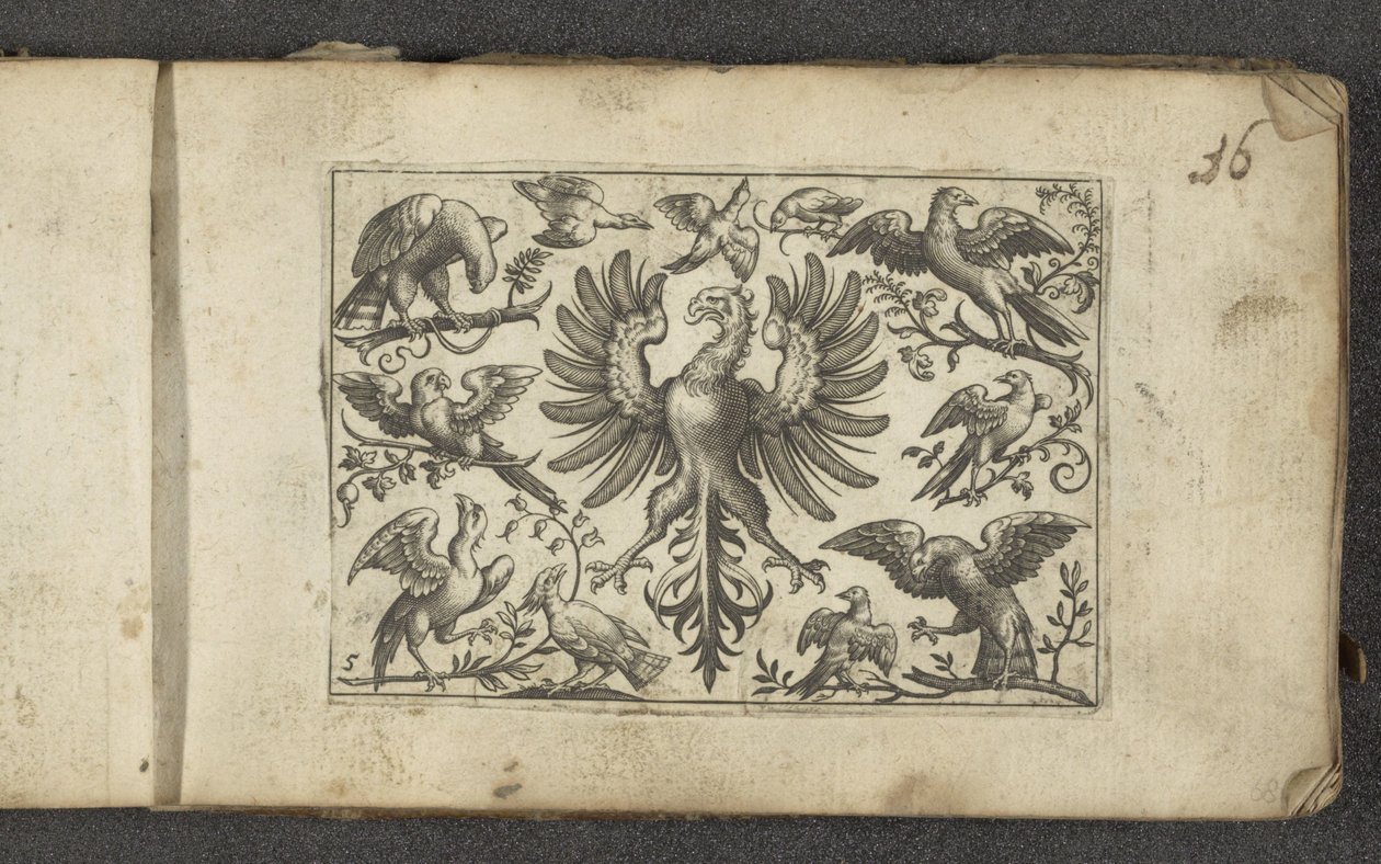 Roofvogel en elf andere vogels door Paul Göttich