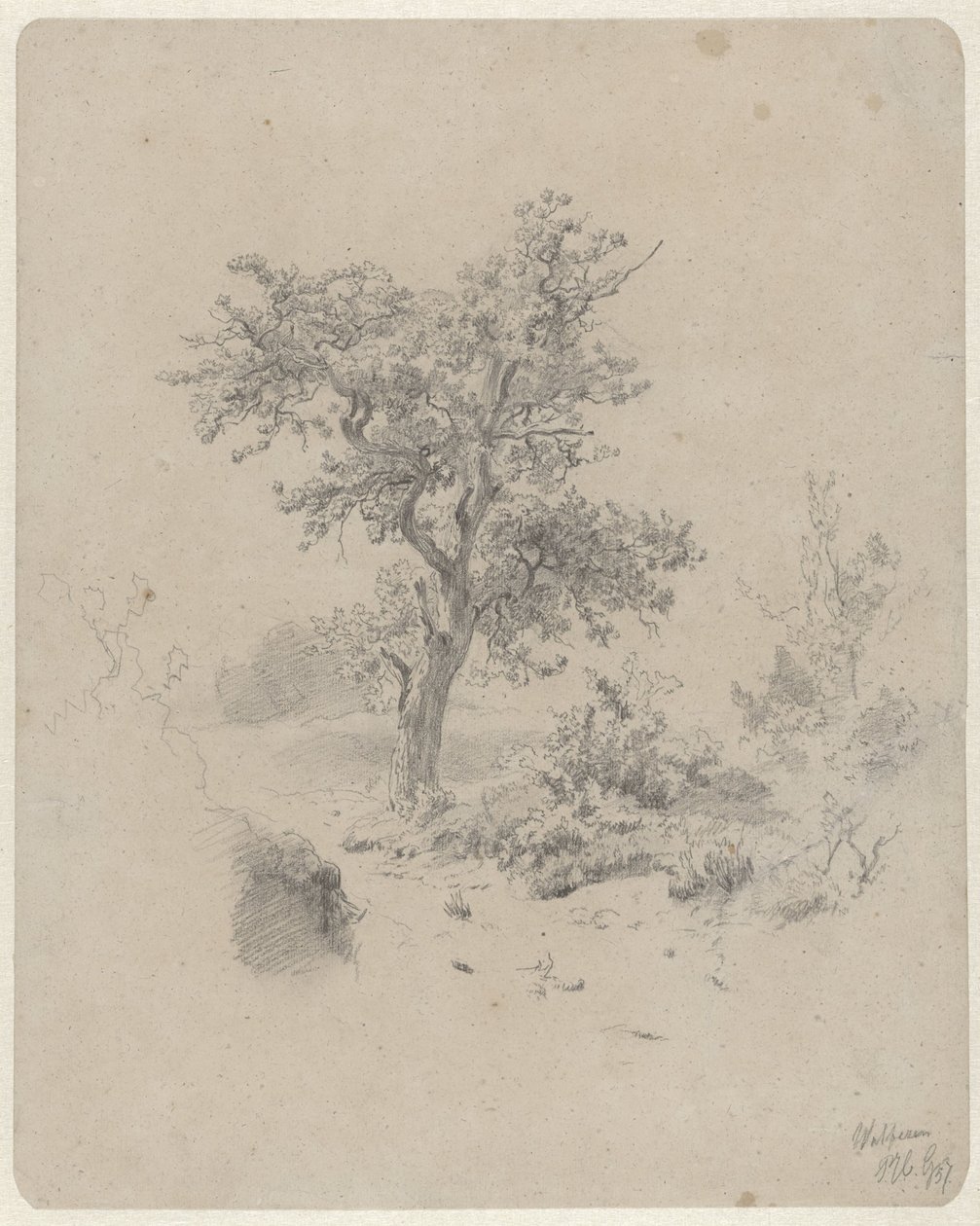 Landschap met eik door Paul Joseph Constantin Gabriel