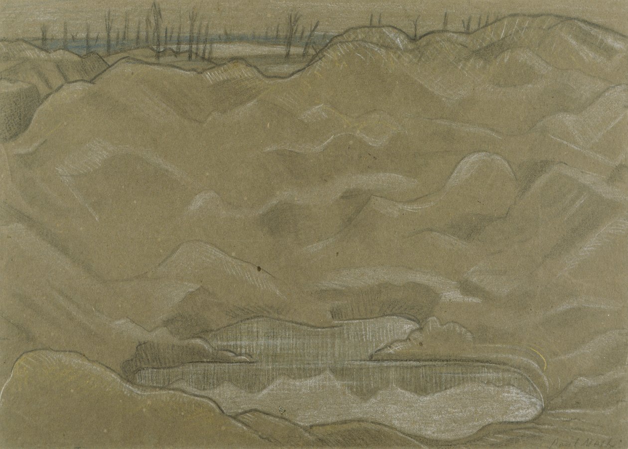 Een granaattrechter door Paul Nash