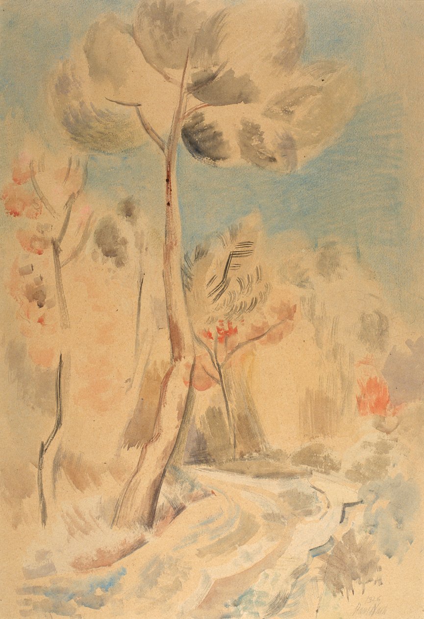 De den door Paul Nash