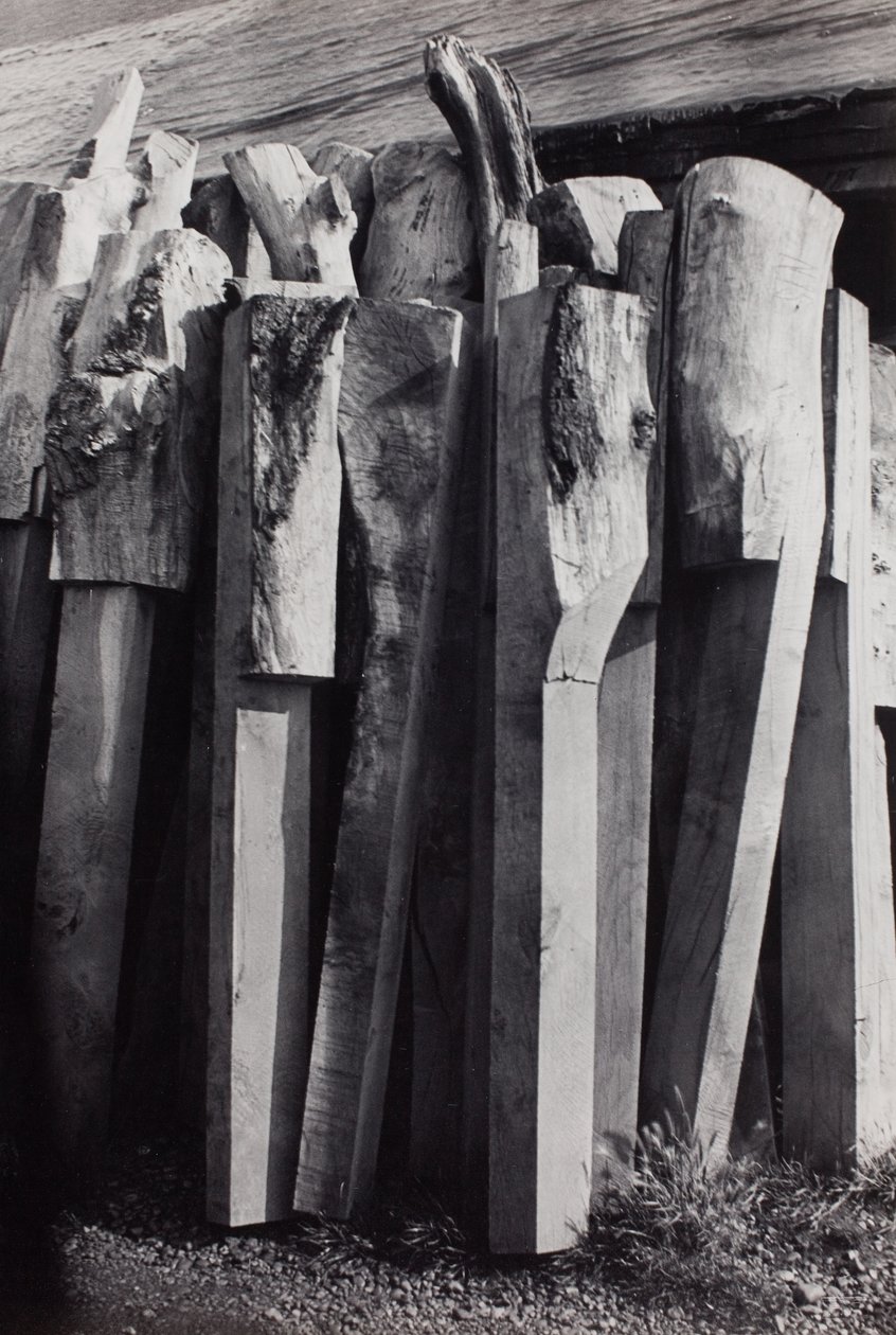 Totems