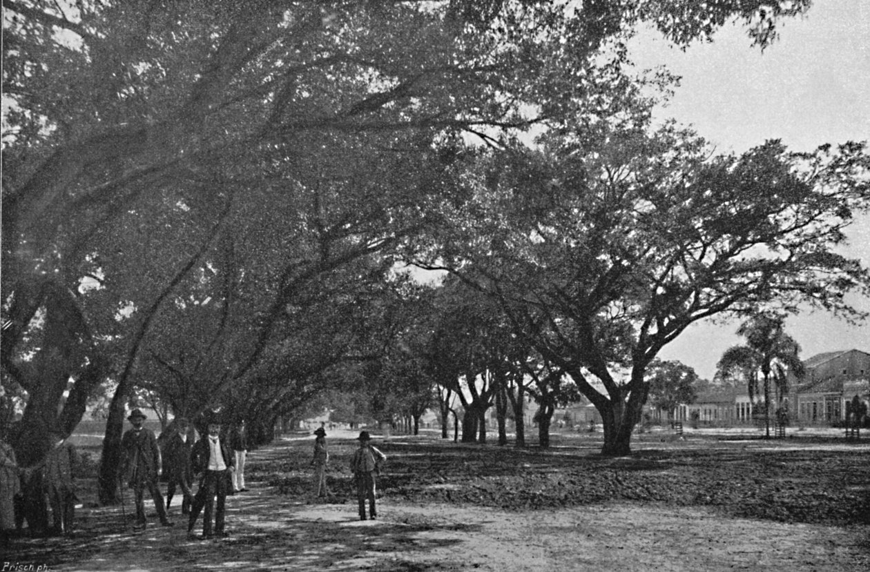 Avenida de Tiradentes, 1895 door Paulo Kowalsky