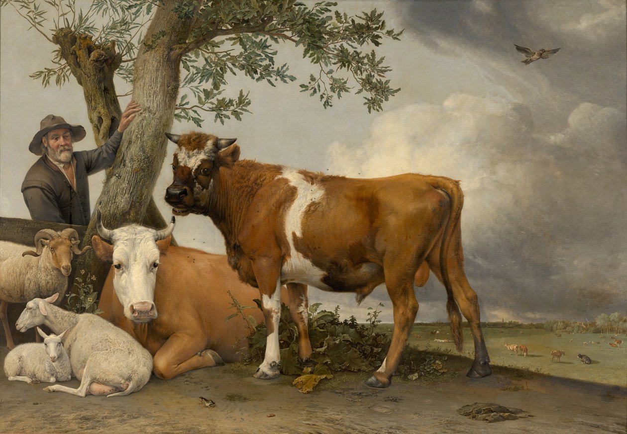 De Stier, 1647 door Paulus Potter