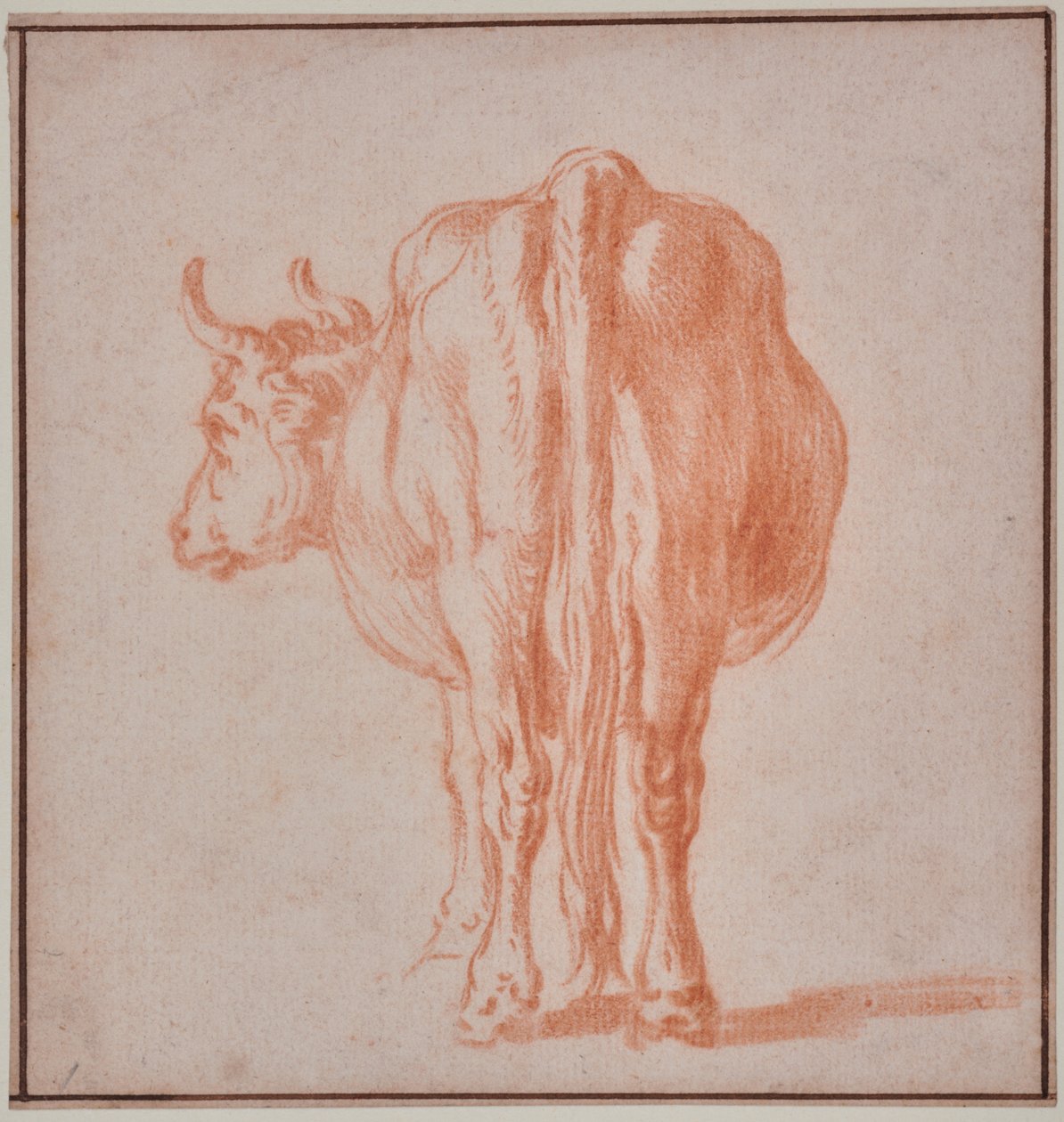 Koe (dierstudie) door Paulus Potter