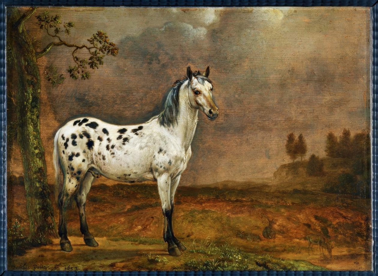 Het gevlekte paard door Paulus Potter