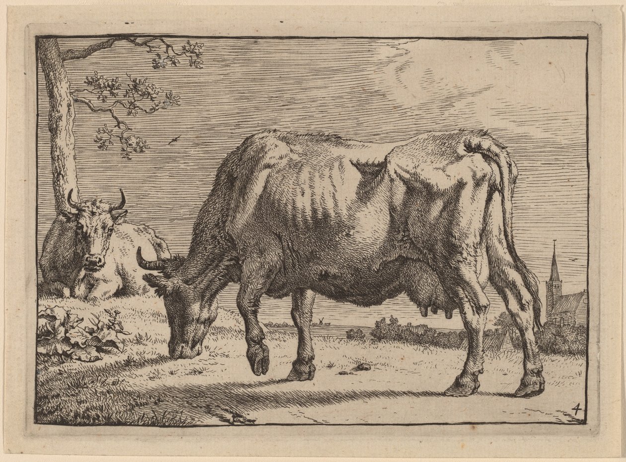 Grazende Koe door Paulus Potter