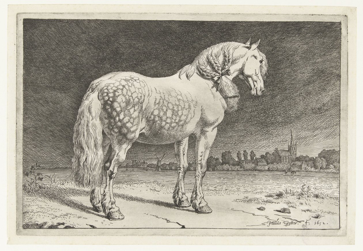 Het Friese paard door Paulus Potter