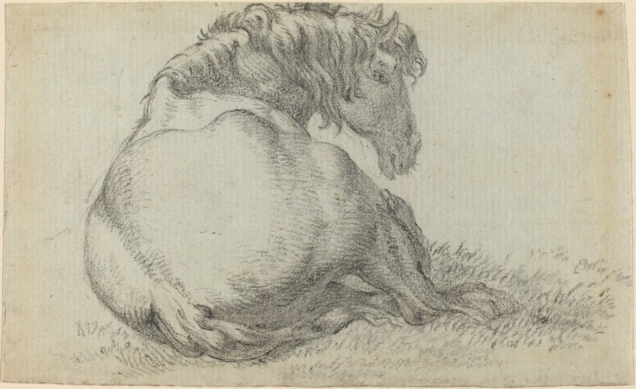 Rustend paard door Paulus Potter