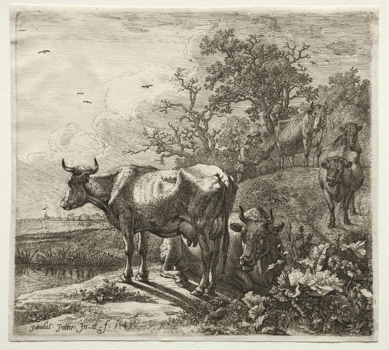 De koeherder door Paulus Potter