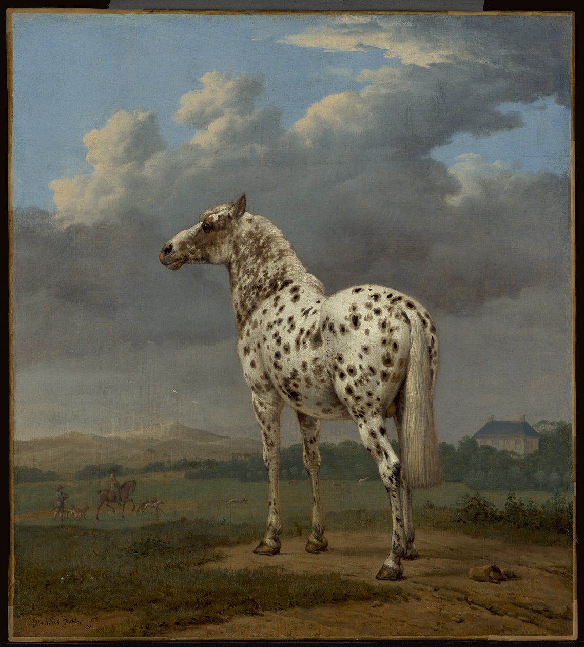 Het "bont" paard door Paulus Potter