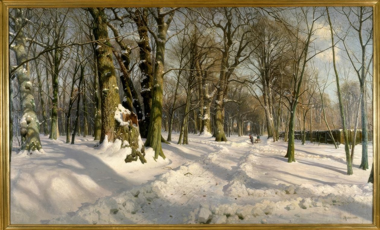 Besneeuwd winterbos in zonlicht door Peder Monsted