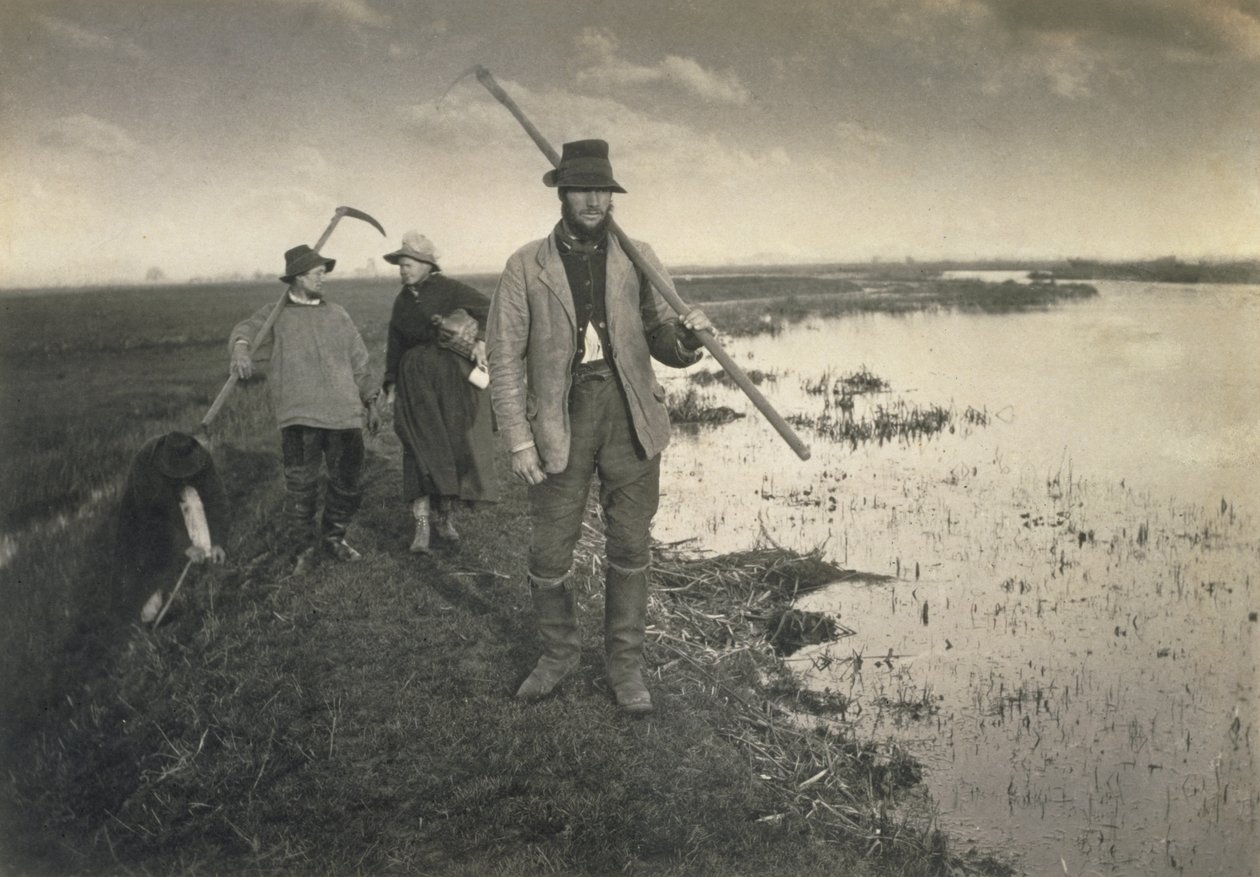 Het Snijden van de Gladdon, Leven en Landschap op de Norfolk Broads door Peter Emerson und Thomas Goodall