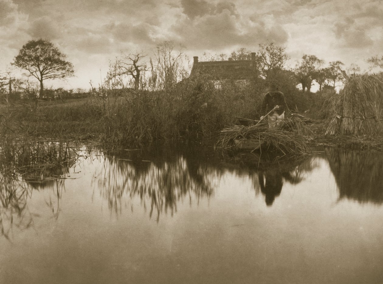 Het Verzamelen van de Gladdon, ca. 1886 door Peter Emerson und Thomas Goodall