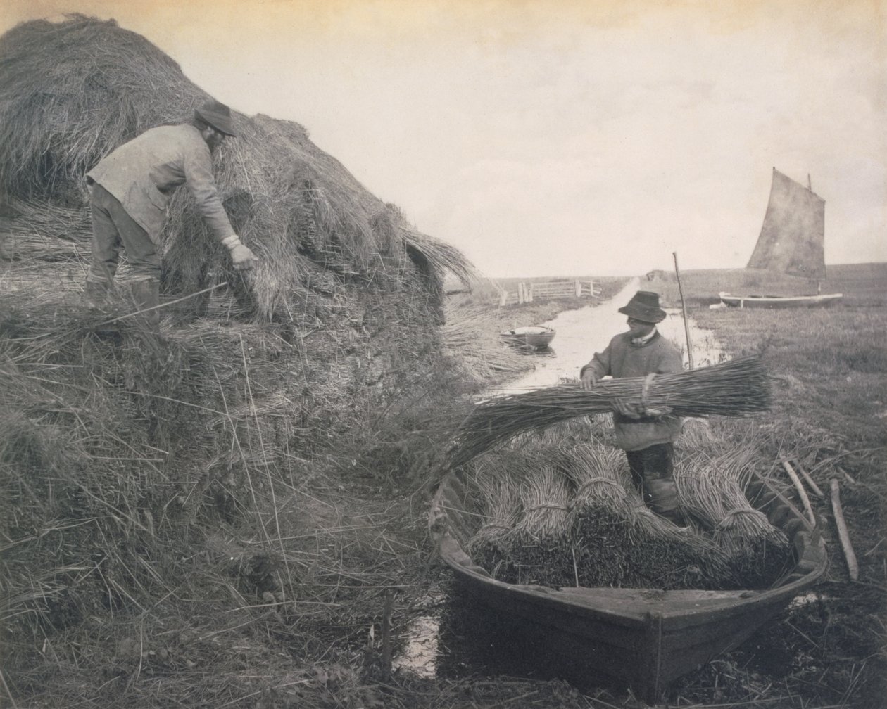 Riet binden, leven en landschap op de Norfolk Broads, c.1886 door Peter Emerson und Thomas Goodall
