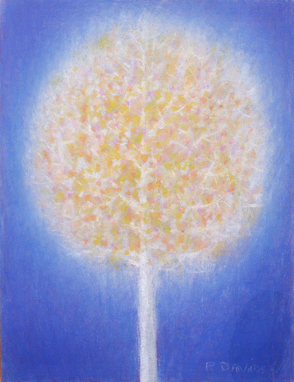(oliepastel op doek) door Peter Davidson