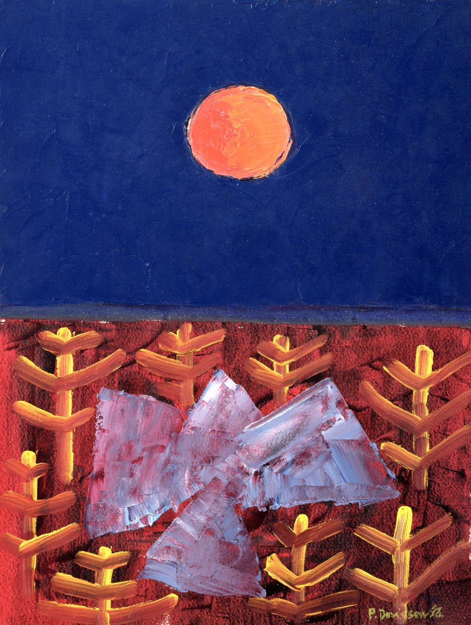 Reis naar de Zon, 1988 door Peter Davidson