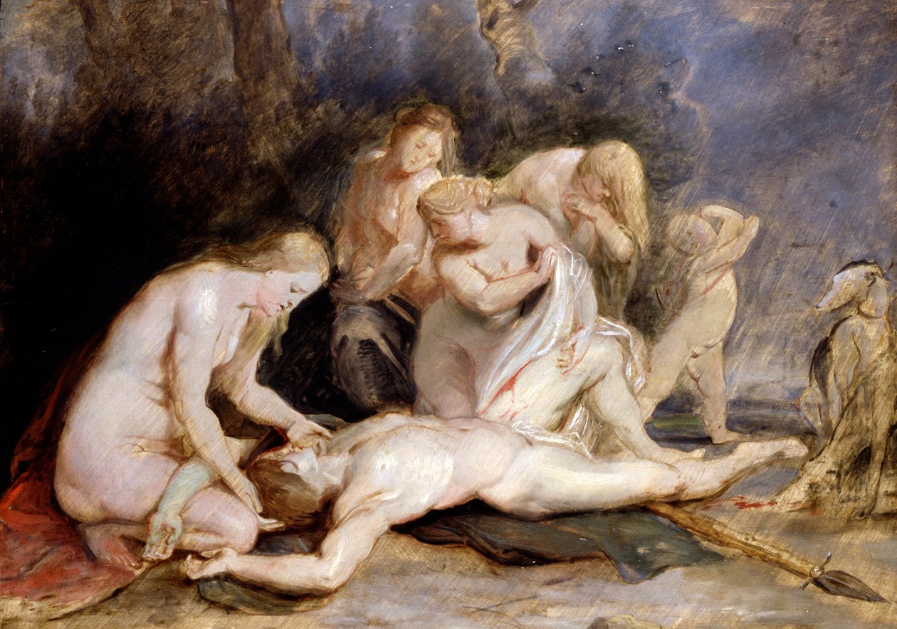 Venus rouwt om Adonis door Peter Paul Rubens