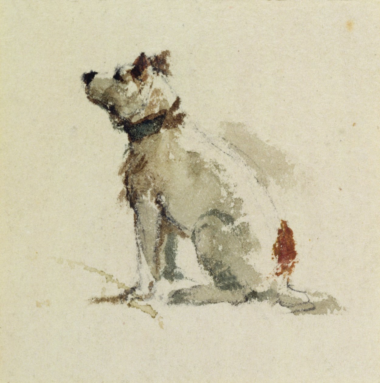 Een Terrier, zittend naar links door Peter de Wint