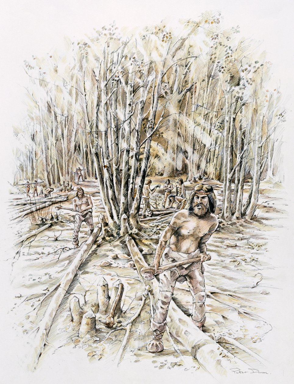 Gebruik van vuursteen - hakhout, prehistorisch, ca. 1990-2010 door Peter Dunn