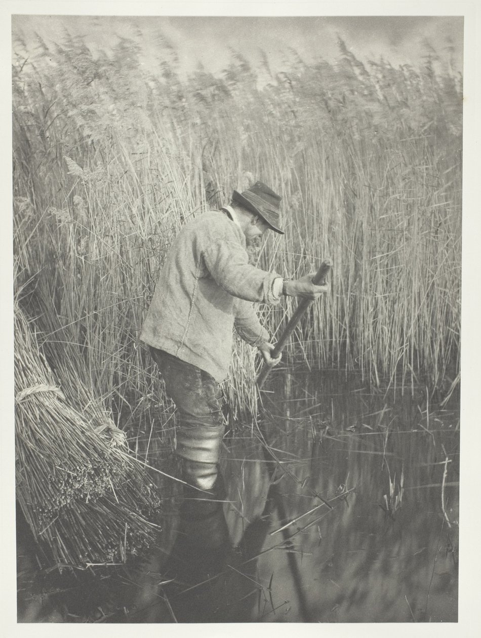 Een rietsnijder aan het werk door Peter Henry Emerson