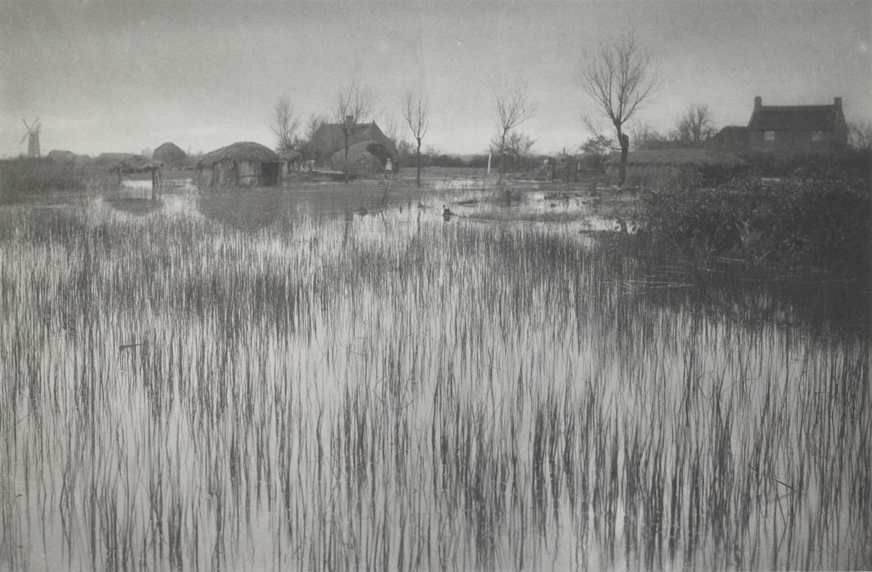 Een woeste kust door Peter Henry Emerson