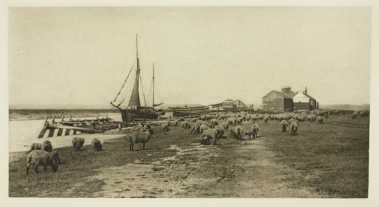 Blackshore, River Blythe (Suffolk) door Peter Henry Emerson