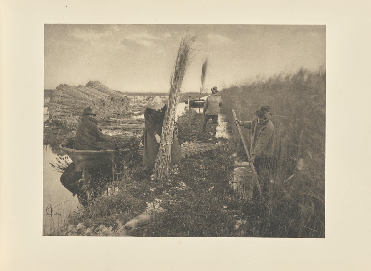Tijdens de rietoogst door Peter Henry Emerson