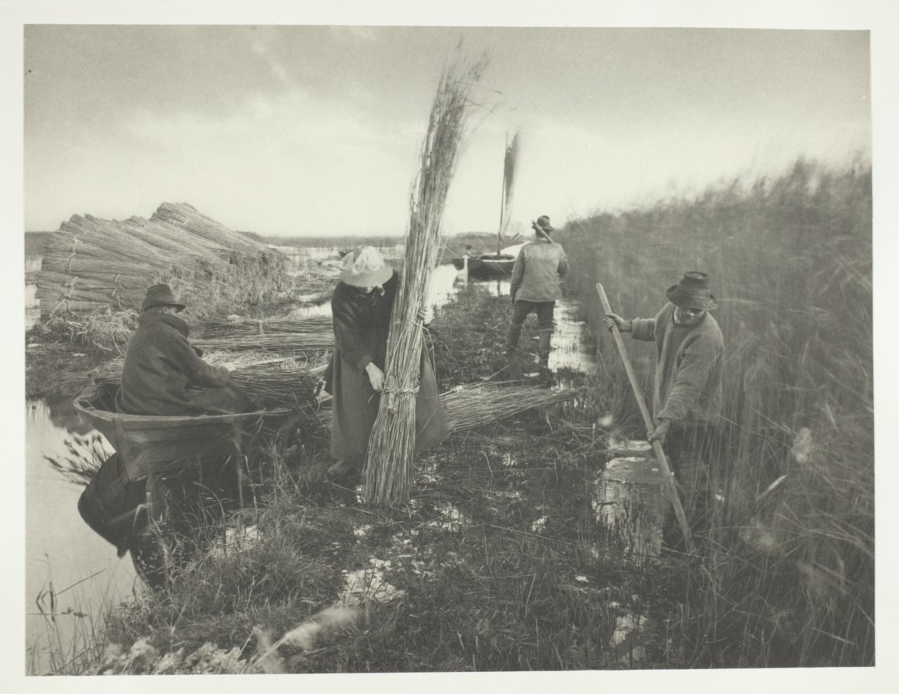 Tijdens de rietoogst door Peter Henry Emerson
