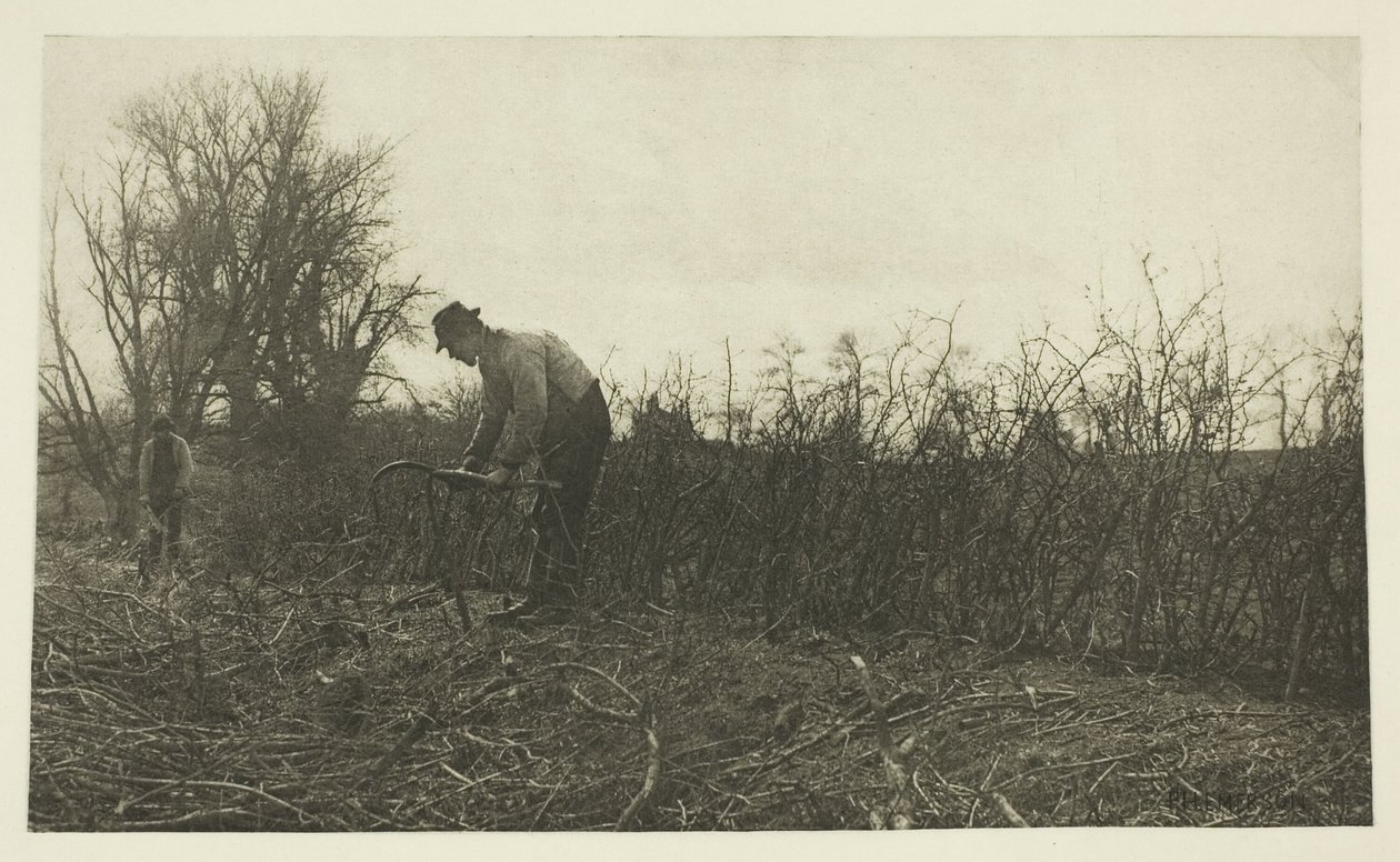 Schermen in Suffolk door Peter Henry Emerson