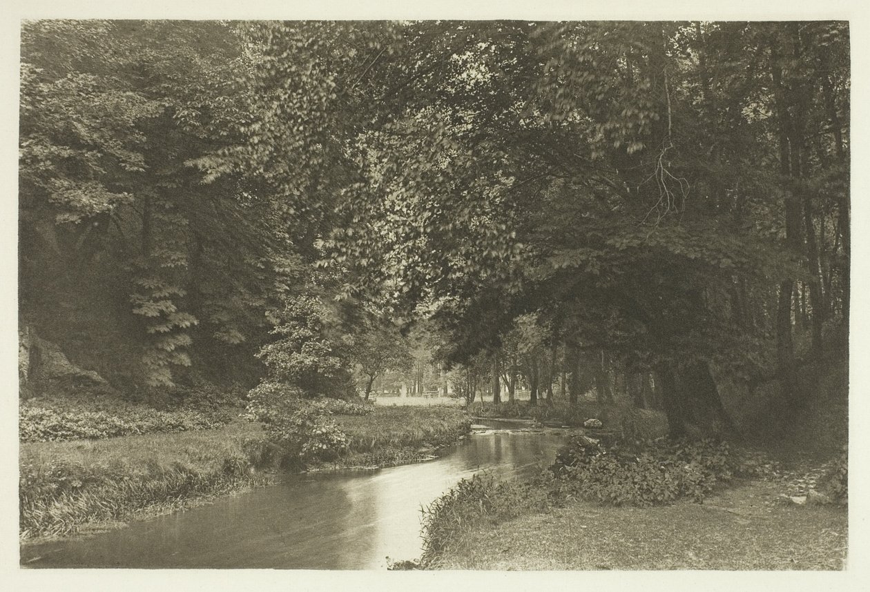 In Beresford Dale door Peter Henry Emerson