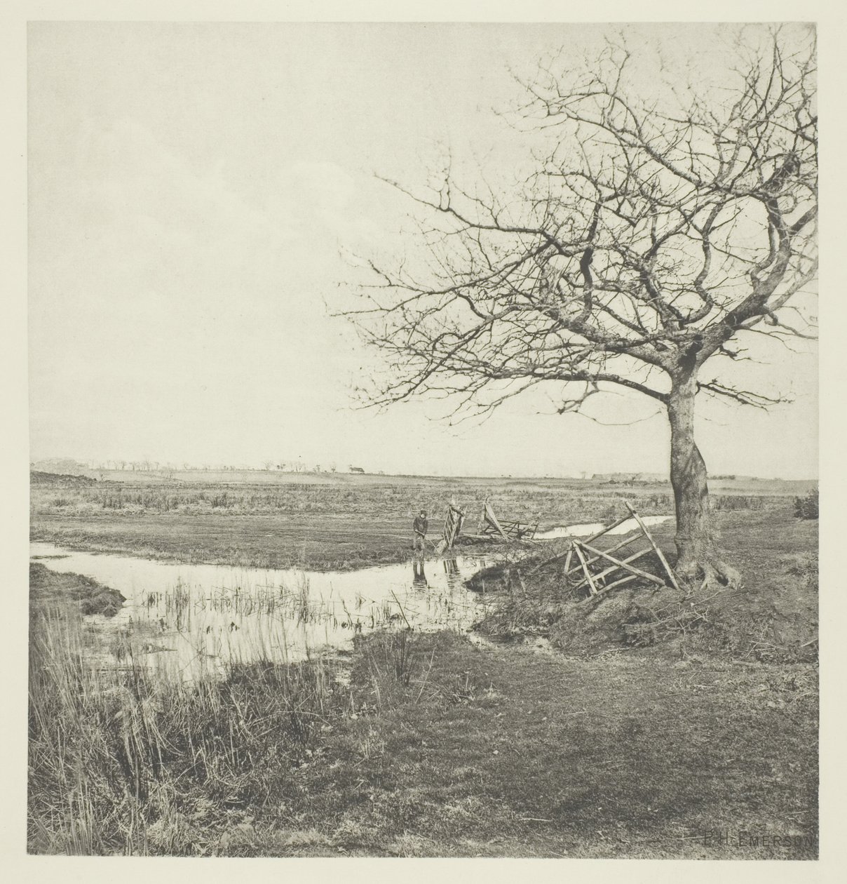 Bladloze Maart (Suffolk) door Peter Henry Emerson
