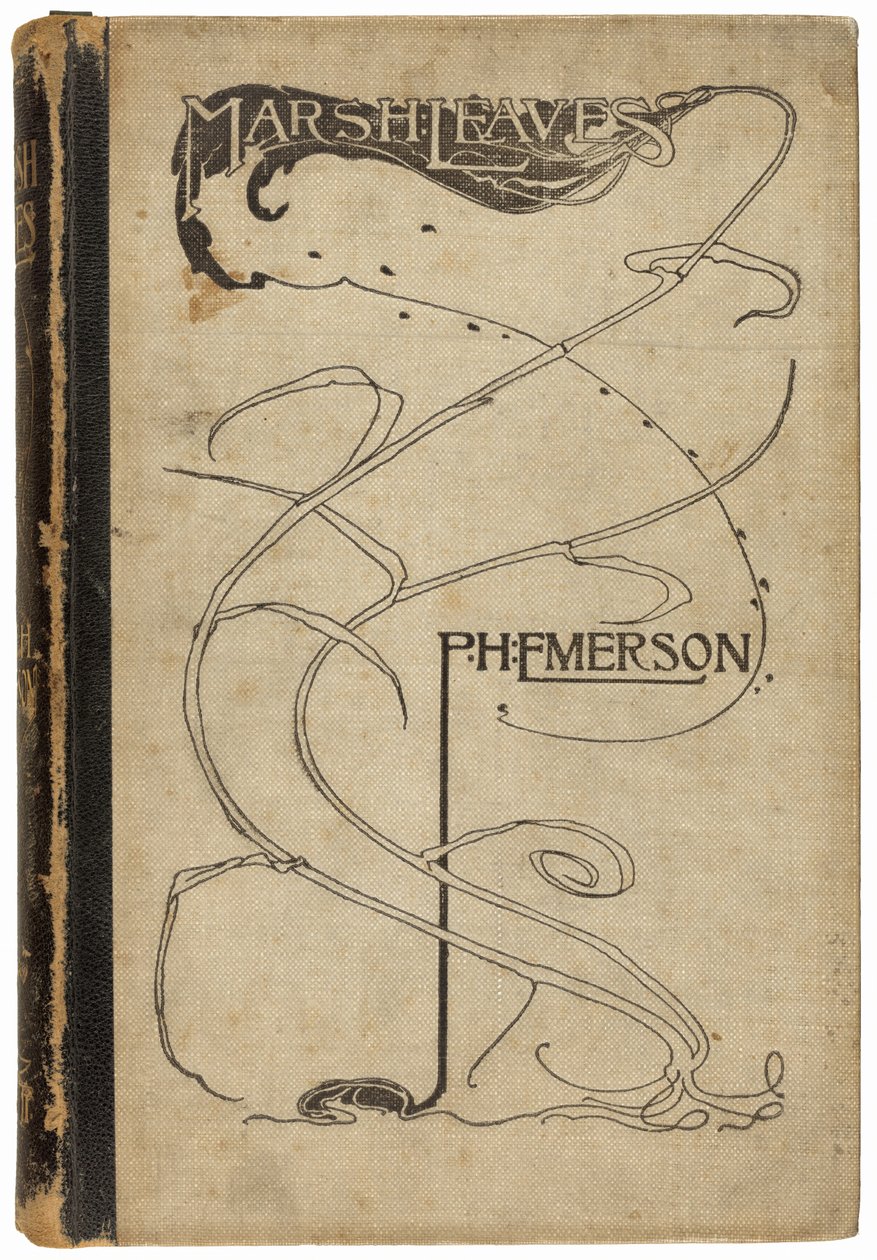 Moerasbladeren door Peter Henry Emerson