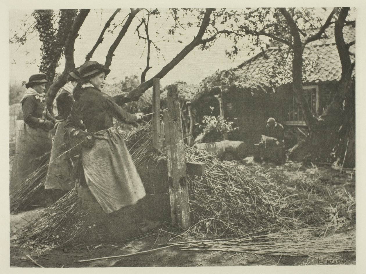 Wilgenschillen (Norfolk) door Peter Henry Emerson